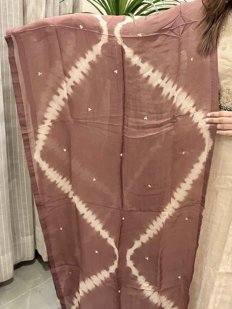 pure-banaras-mul-chanderi-a-line-hand-embroidered-suit-set-paired-with-shibori-print-organza-dupatta-brown-4