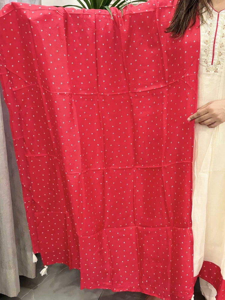 surat-mul-chanderi-embroidered-anarkali-with-mul-cotton-lining-paired-with-bandhni-print-dupatta-kurta-borders-off-white-4