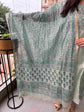 mul-chanderi-a-line-zari-work-suit-set-with-front-back-panelling-sea-green-4
