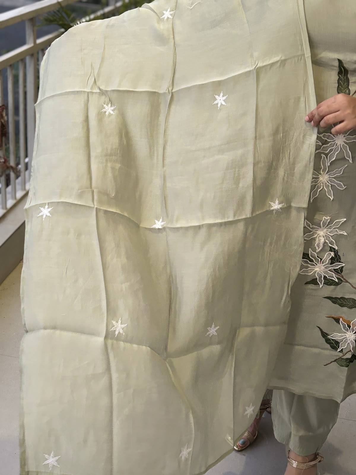mul-chanderi-applique-work-embroidered-suit-set-with-mul-cotton-lining-earthy-green-4