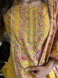 pure-cotton-digital-print-hand-embroidered-suit-set-mustard-yellow-2