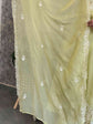pure-viscose-organza-hand-embroidered-straight-fit-suit-set-grape-green-5